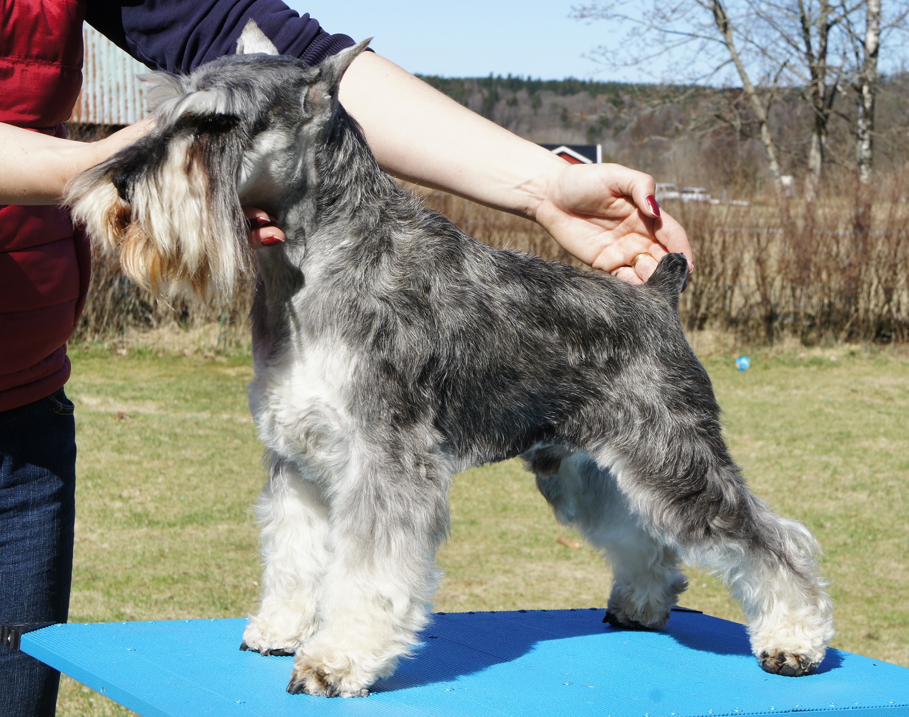 Gunner 3 år