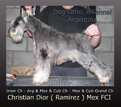 christiandior
