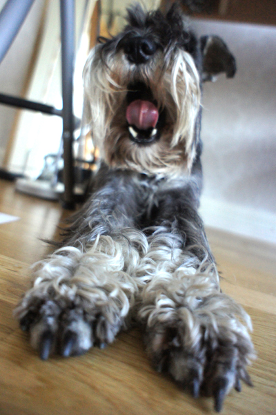 Gimli