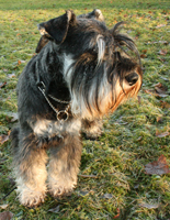 Gimli 2009