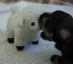 First toy!